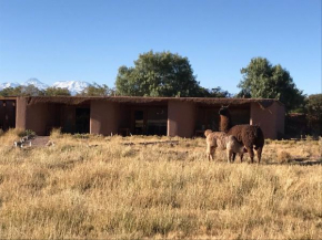 Отель Eco-Lodge El Andinista  Сан-Педро-Де-Атакама